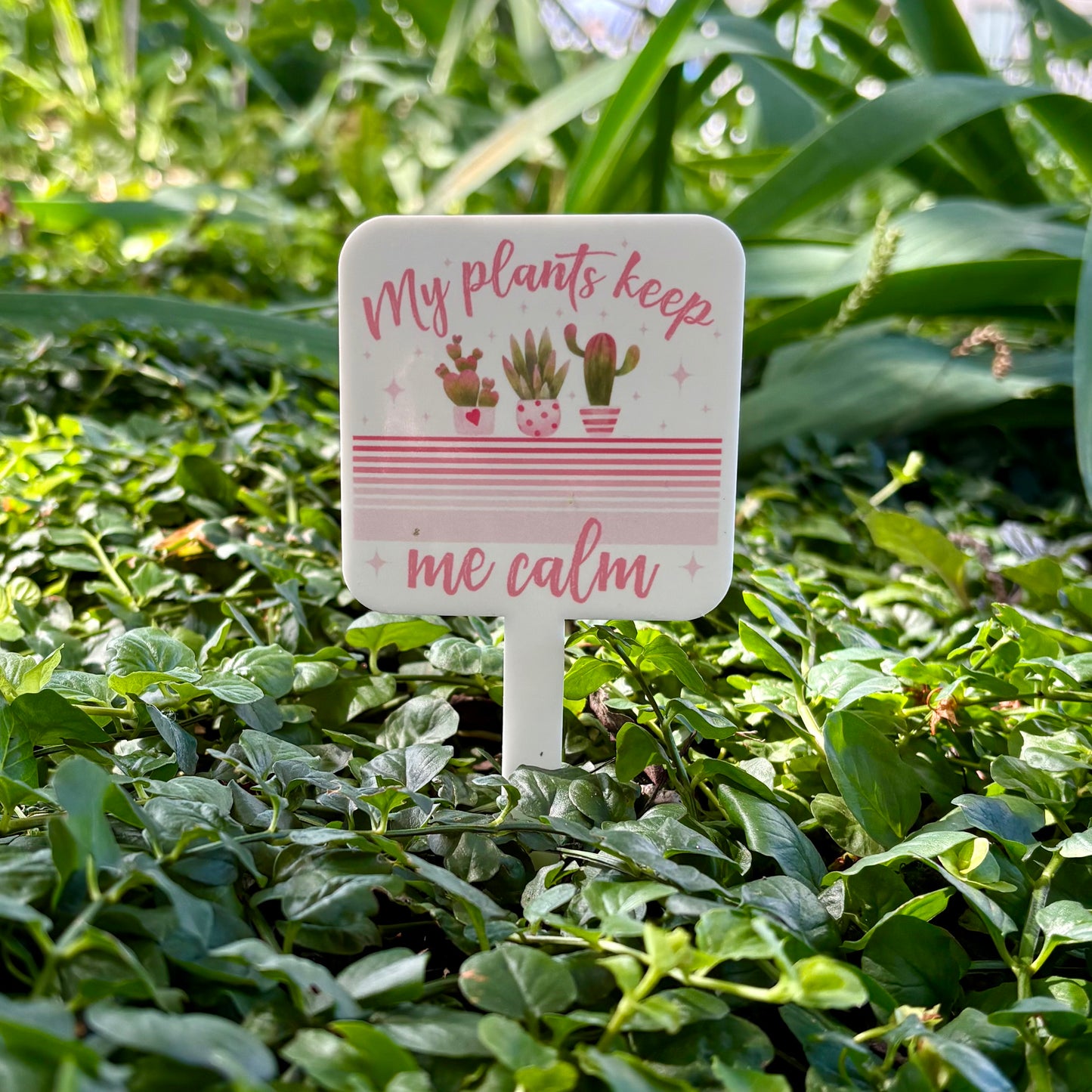 My Plants Keep Me Calm
