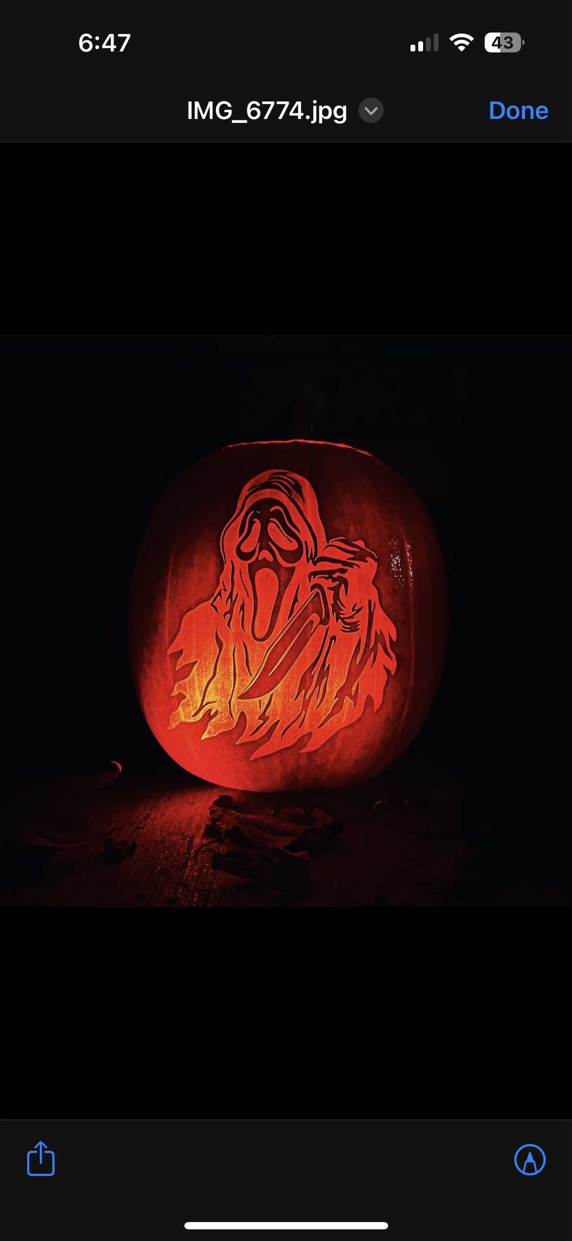 Pumpkin Impressions