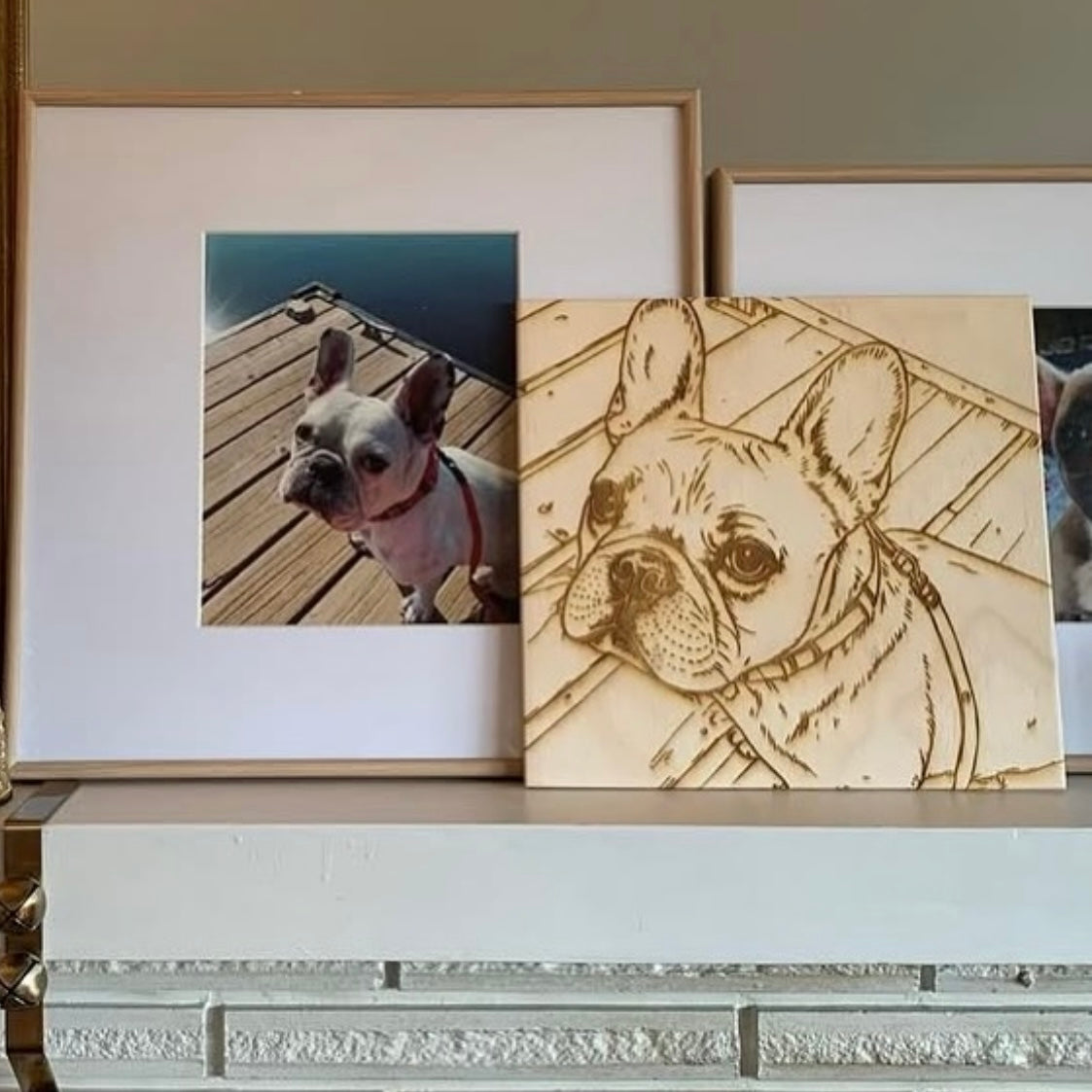 Pet portrait