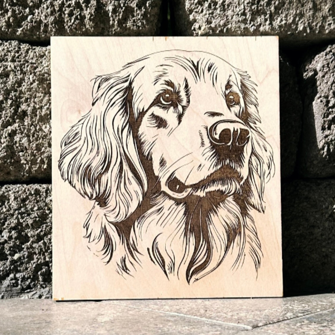 Pet portrait