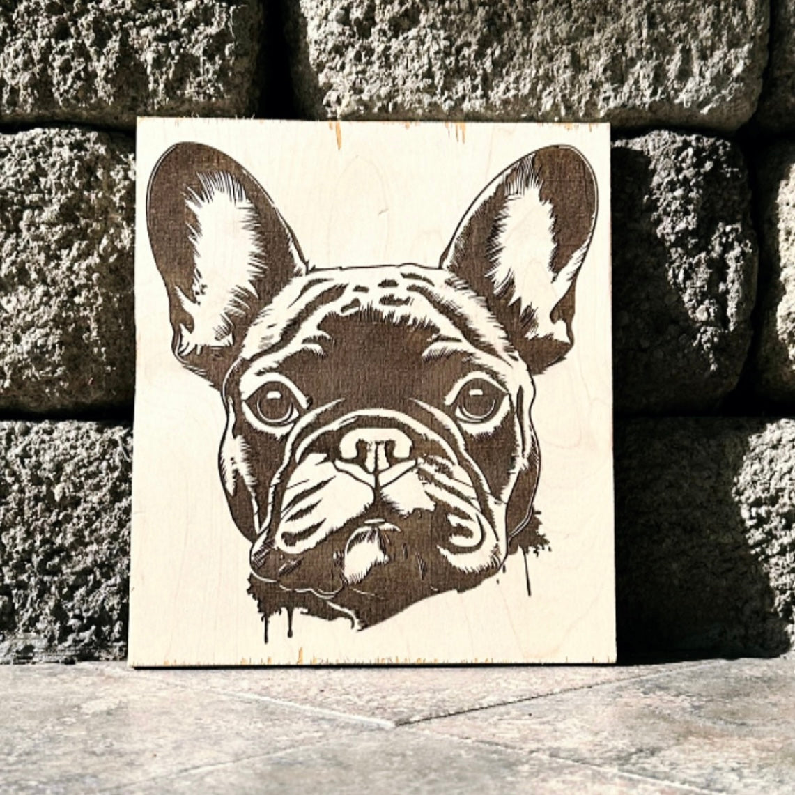 Pet portrait