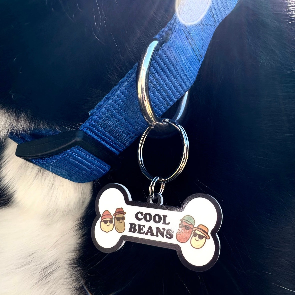 Pet Tags
