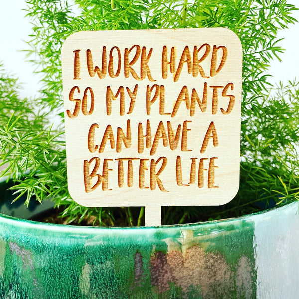 I work hard for my plants