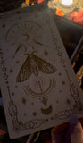 Large multi-deck tarot card box