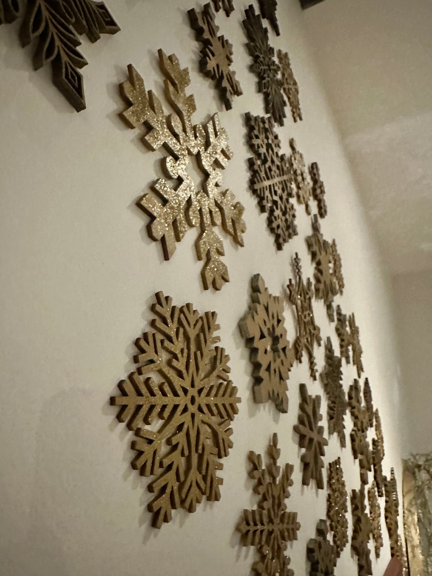 Snowstorm snowflakes