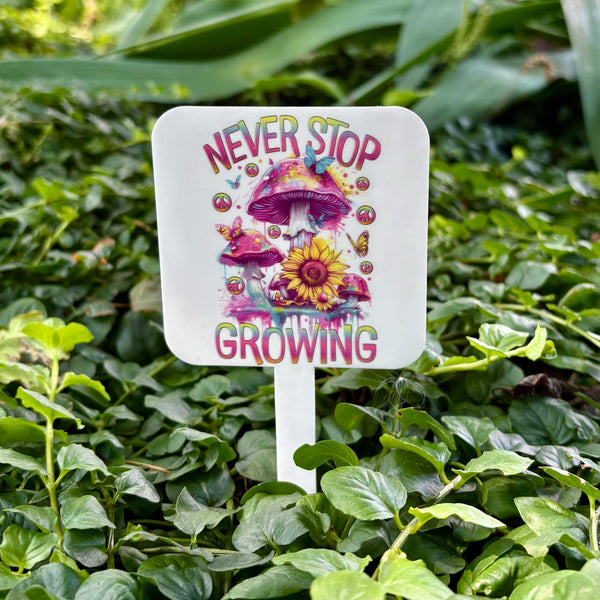 Never Stop Growing