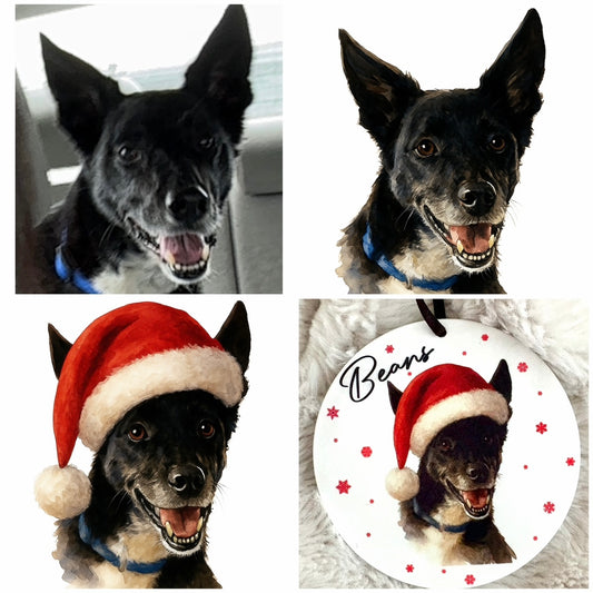 Customized Pet Ornament
