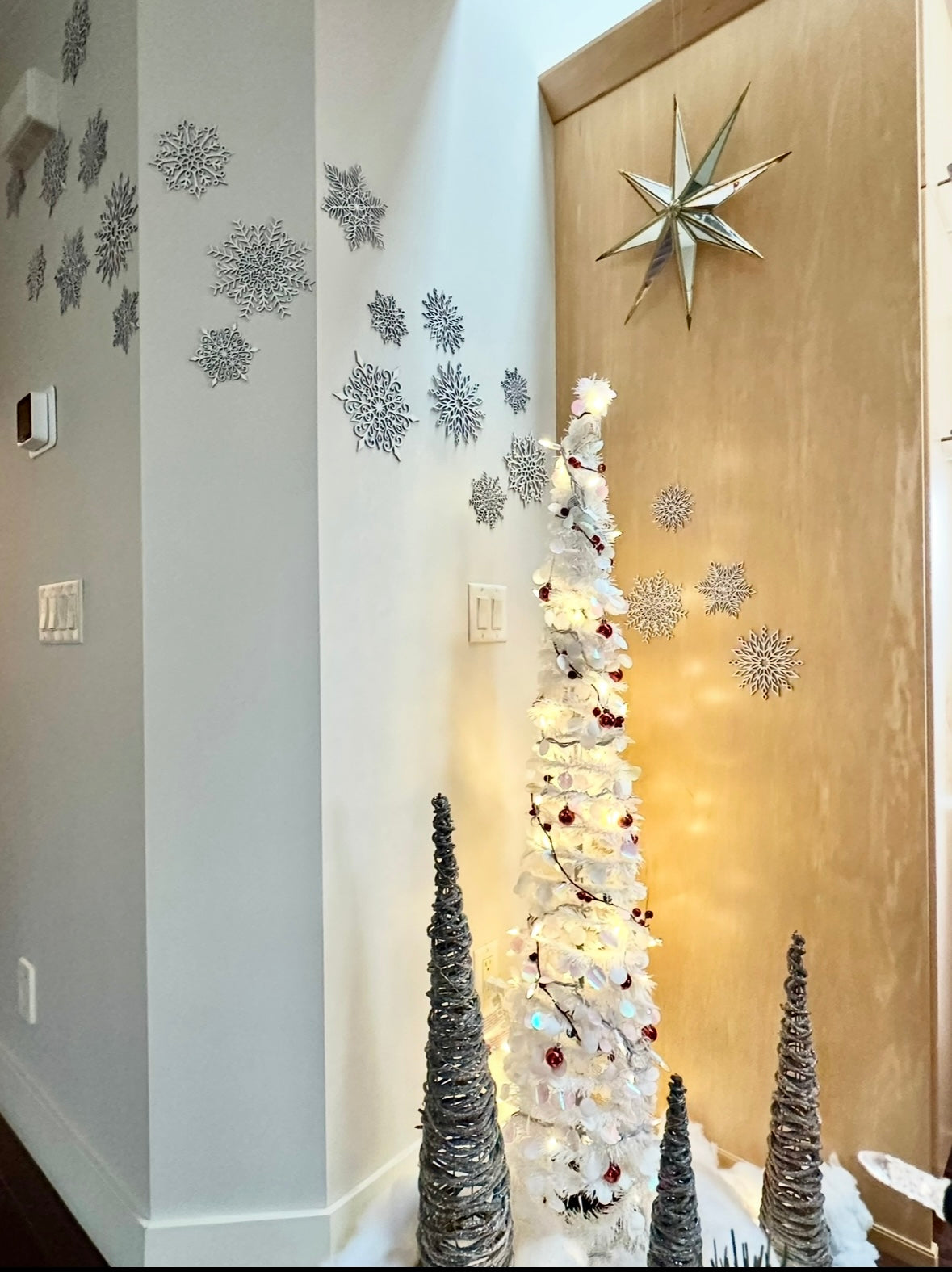 Snowstorm snowflakes