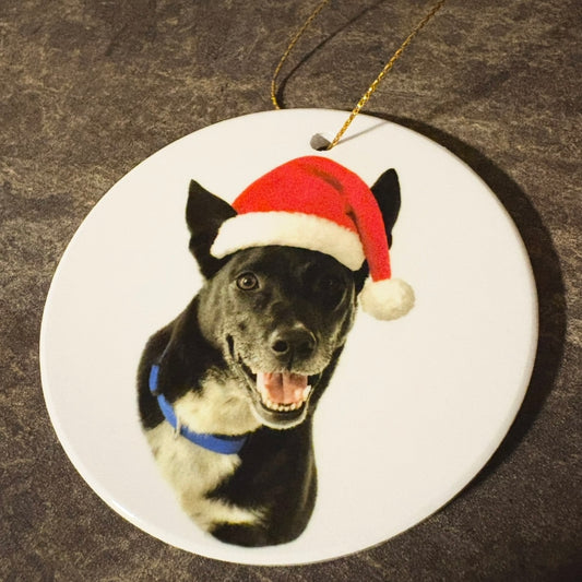 Customized Pet Ornament