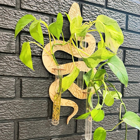 Snake propagation