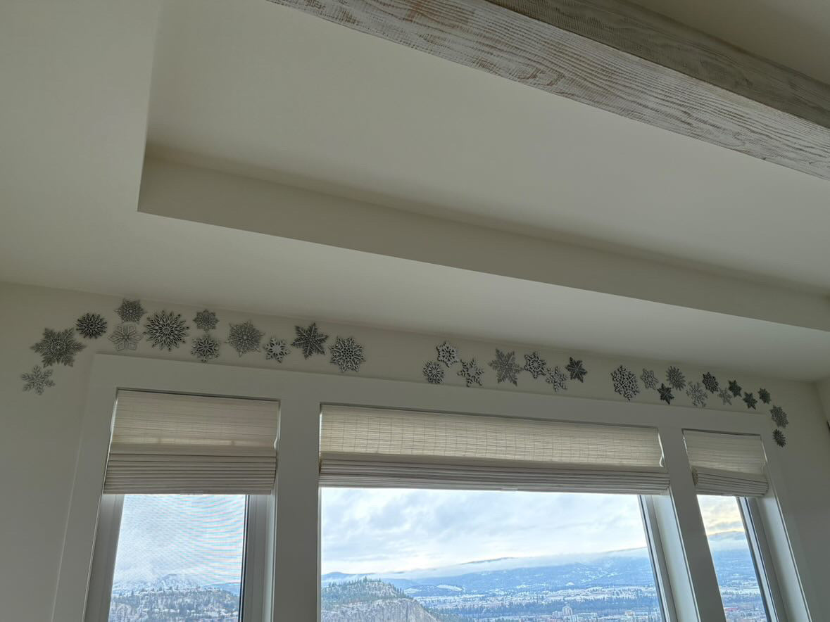 Snowstorm snowflakes