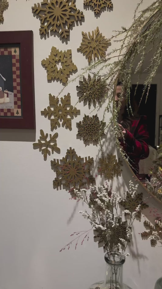 Snowstorm snowflakes