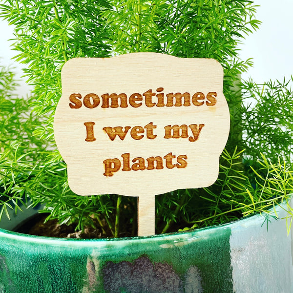 Sometimes I wet my plants
