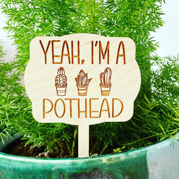 Yeah I’m a pothead