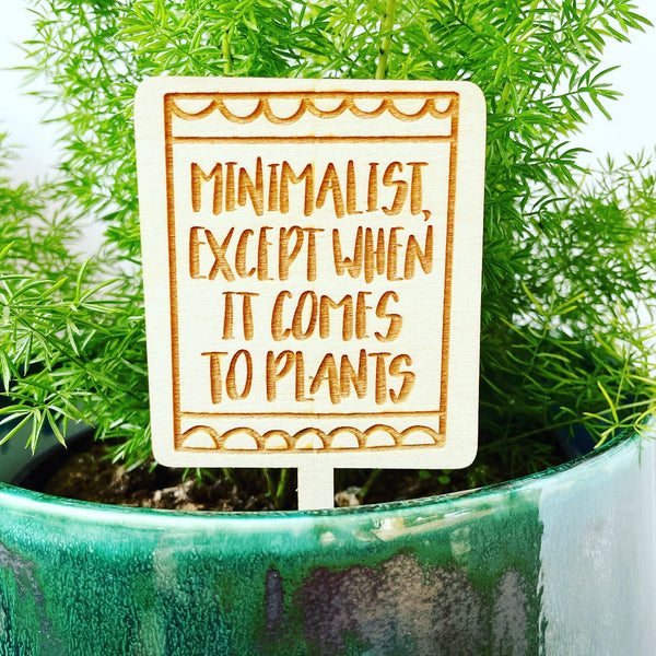 Minimalist except for plants