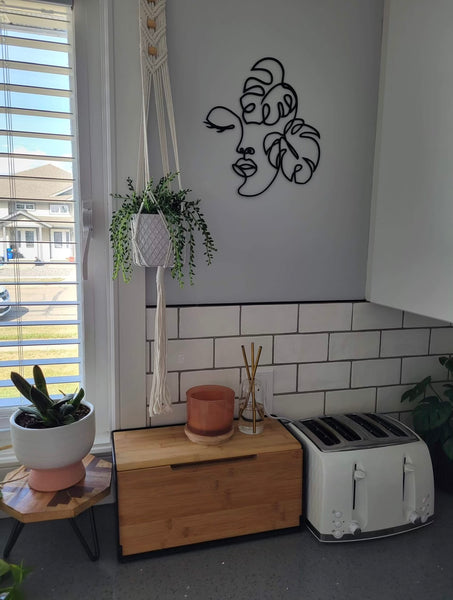 Monstera Beauty