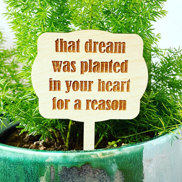 That dream was planted in your heart