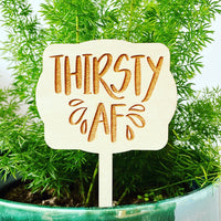 Thirsty AF