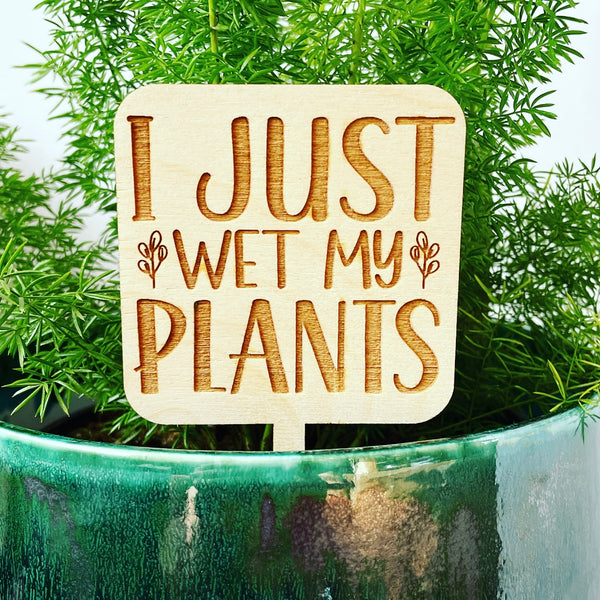 I just wet my plants