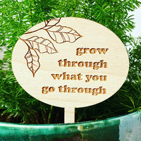 Grow through what you go through